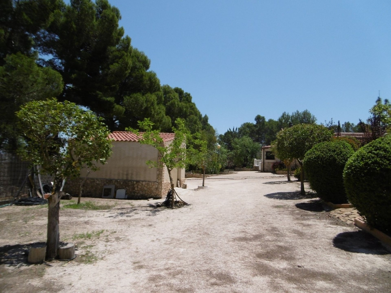  for sale villa Yecla Altiplano 19