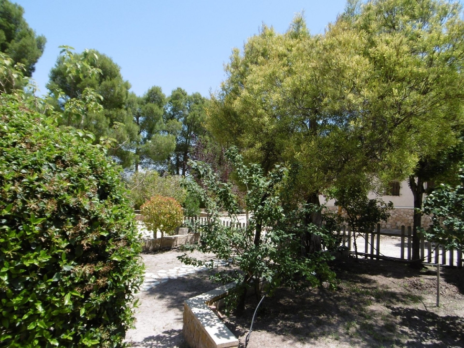  for sale villa Yecla Altiplano 22