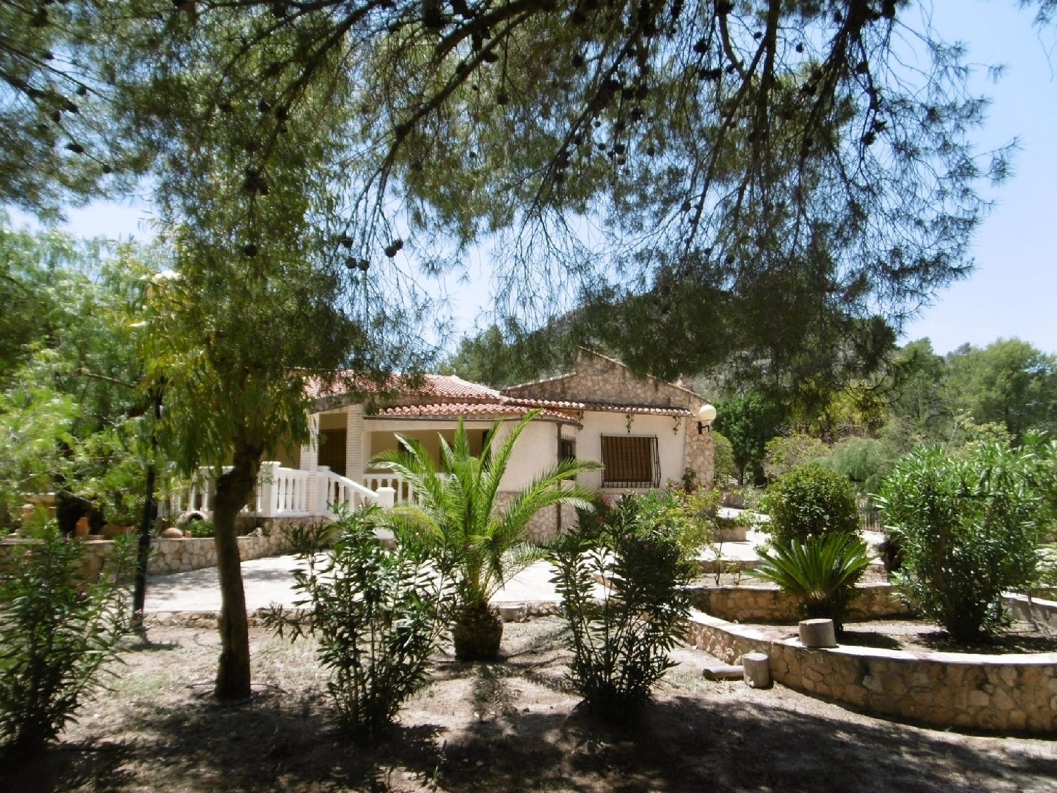  for sale villa Yecla Altiplano 3