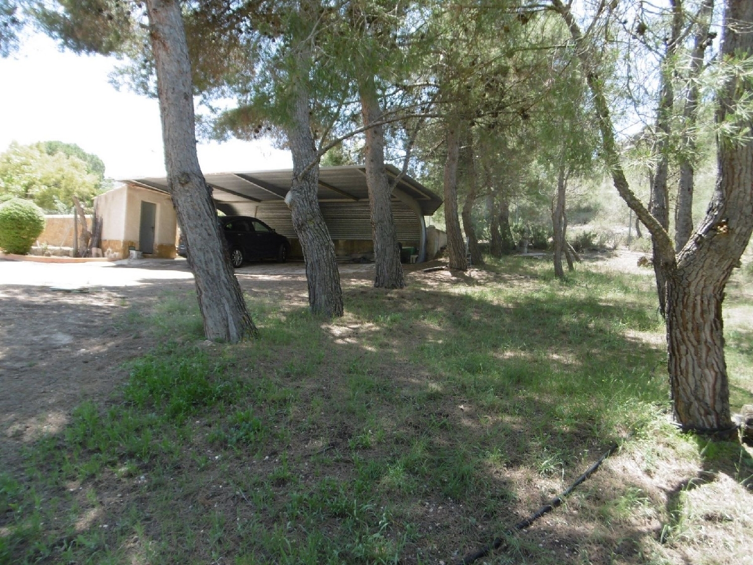  for sale villa Yecla Altiplano 25