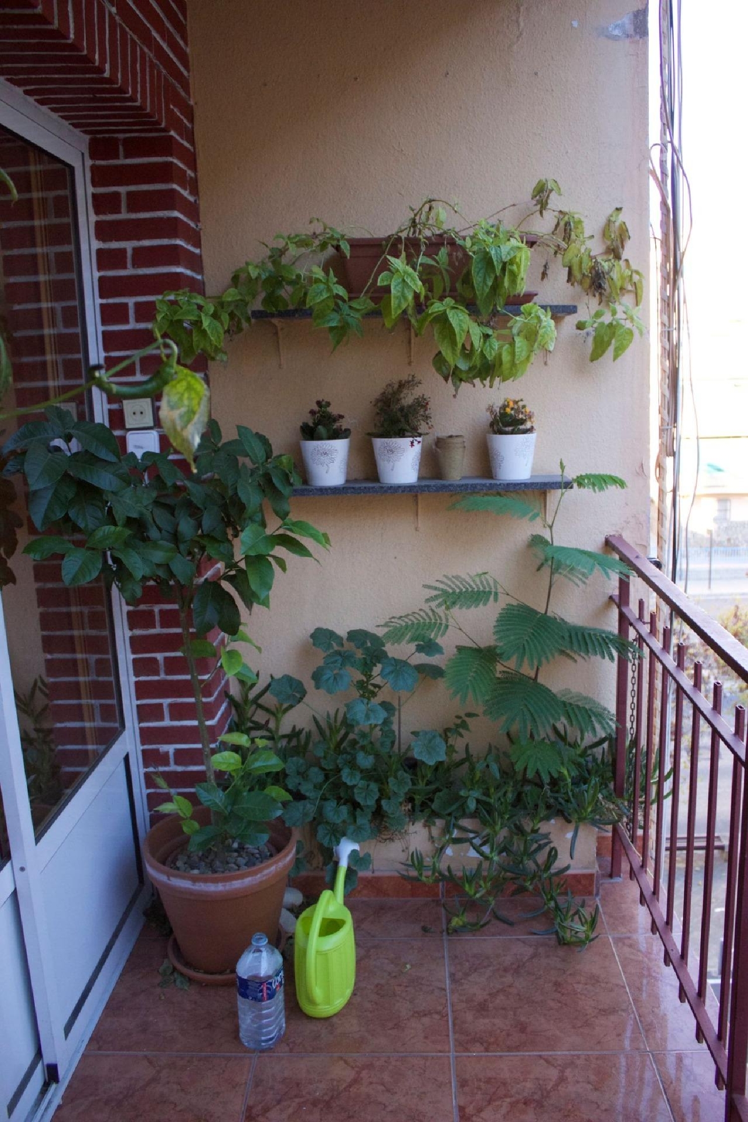 te koop appartement Alicante Centro 03001 Alacantí 3