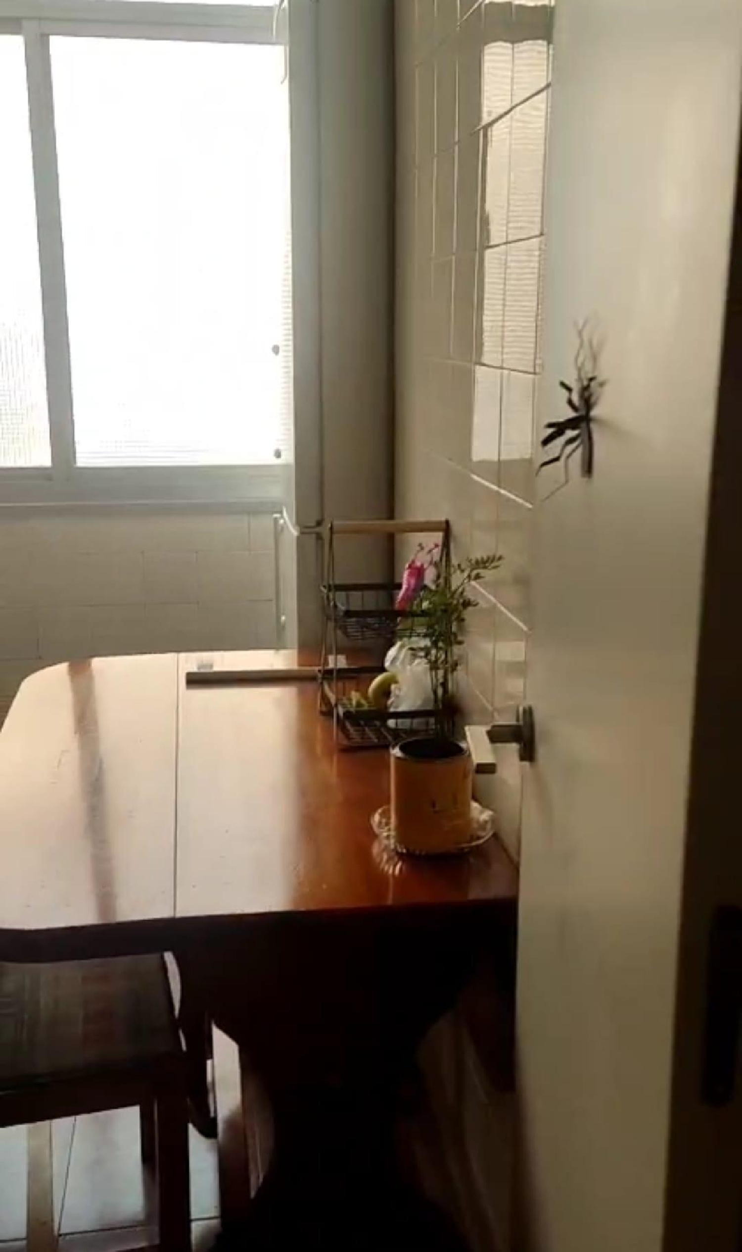  te koop appartement Alicante Centro 03001 Alacantí 5