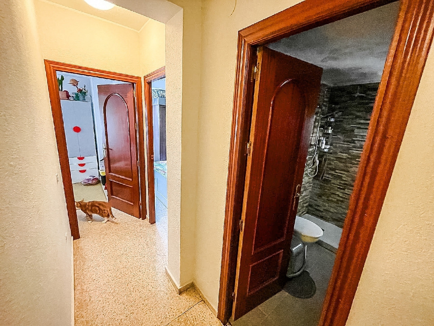  kaufen Wohnung Alicante Centro 03001 Alacantí 7