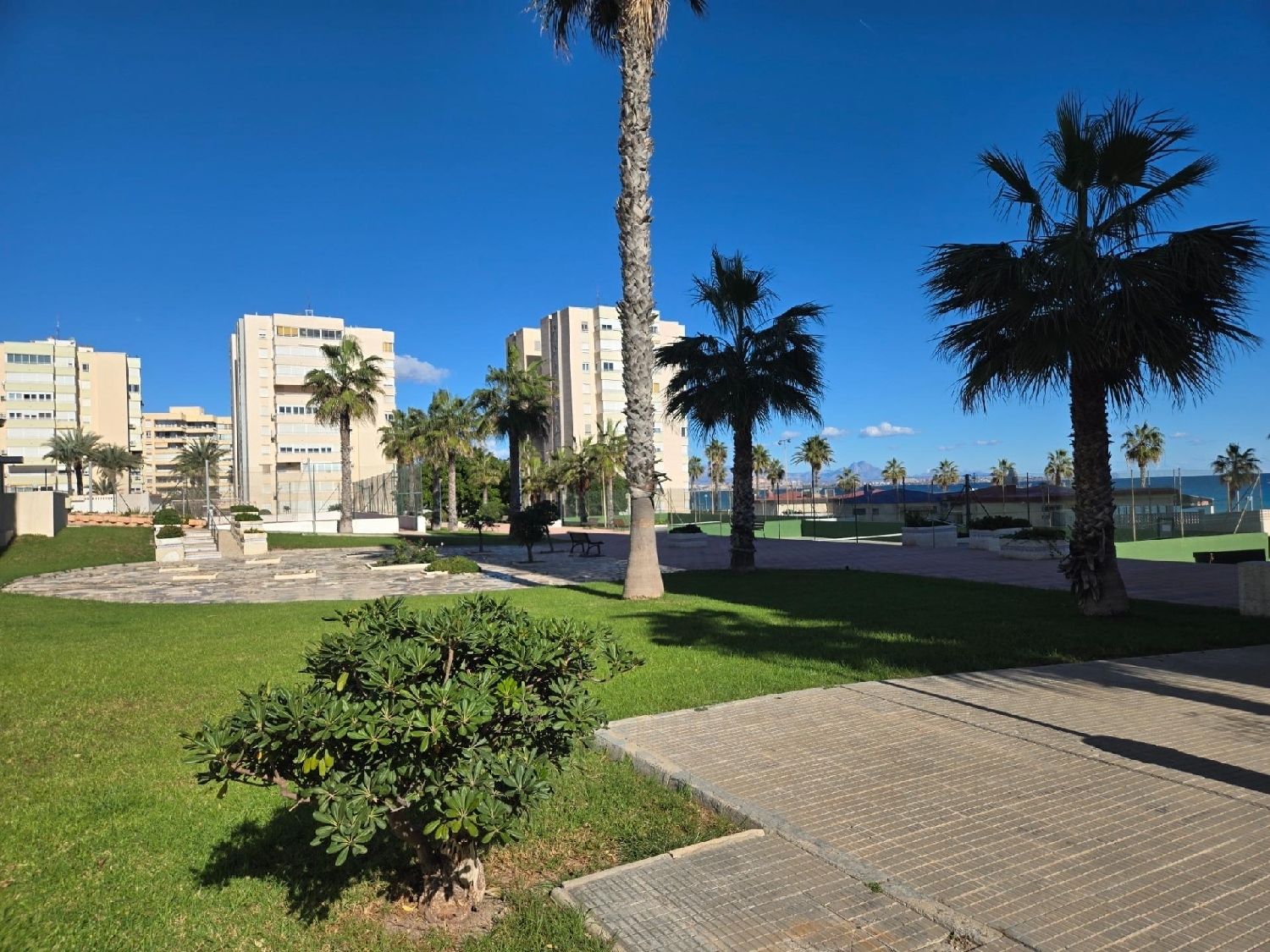 te koop appartement Alicante Centro 03001 Alacantí 7