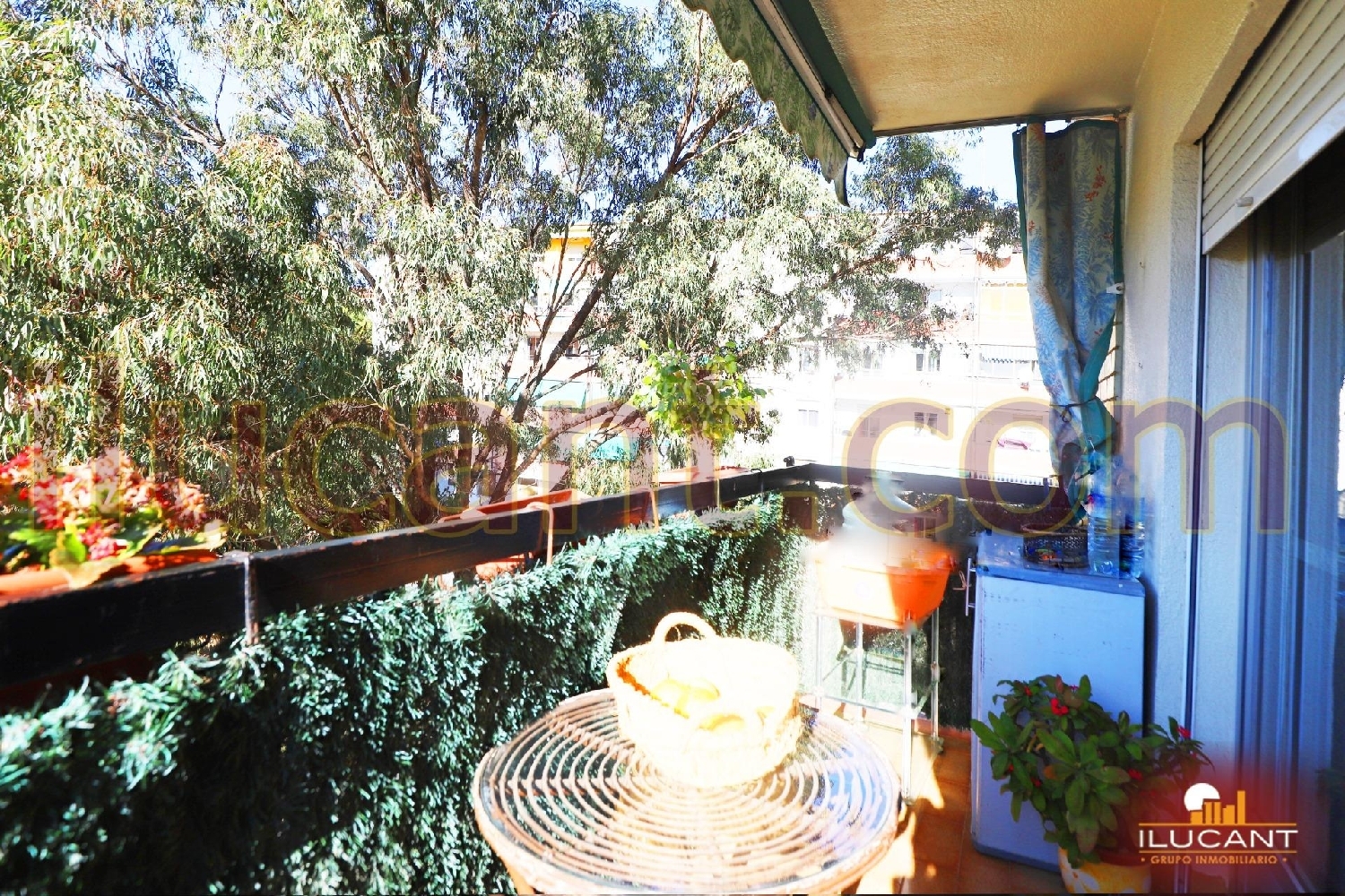  à vendre appartement Alicante Centro 03001 Alacantí 2