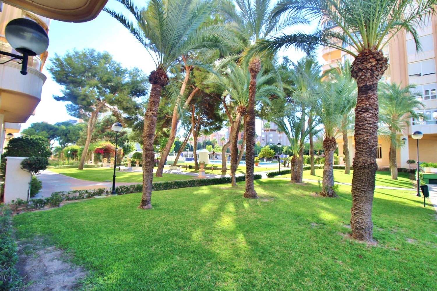  à vendre appartement Alicante Centro 03001 Alacantí 6