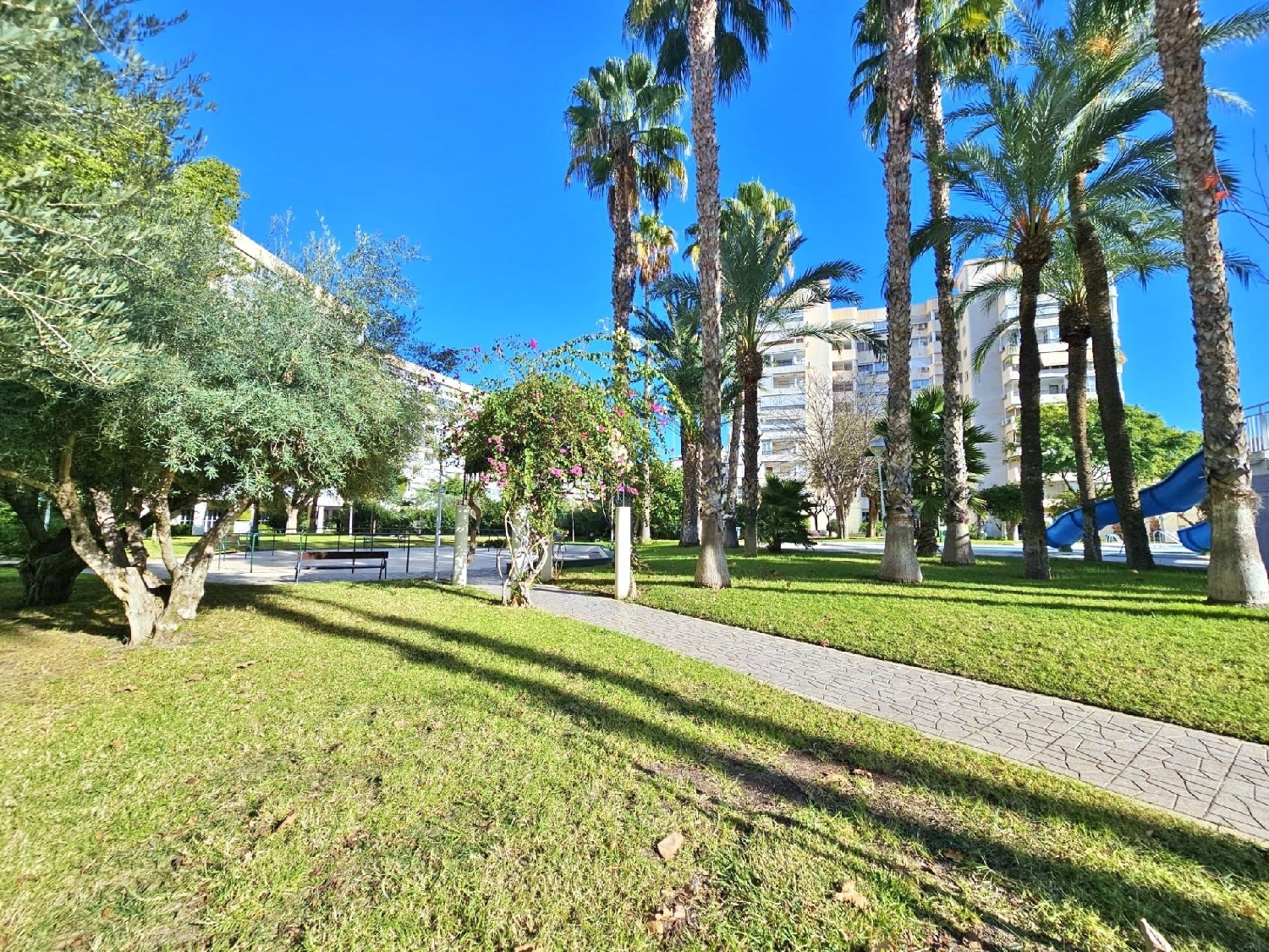 à vendre appartement Alicante Centro 03001 Alacantí 5
