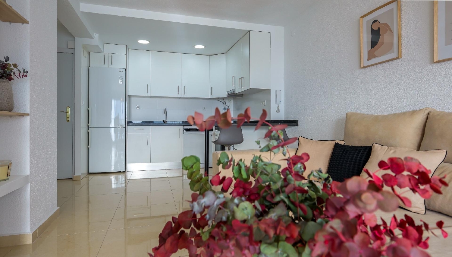  à vendre appartement Alicante Centro 03001 Alacantí 3
