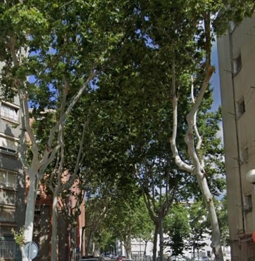 Badalona Centro 08912 Barcelonès appartement foto 6328273