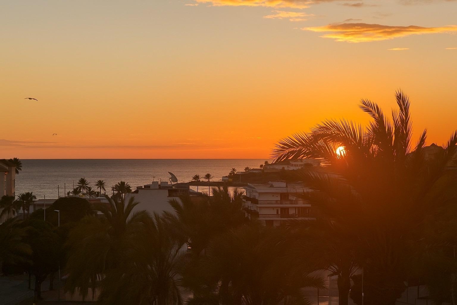  till salu lägenhet Bahía De Javea Marina Alta 2