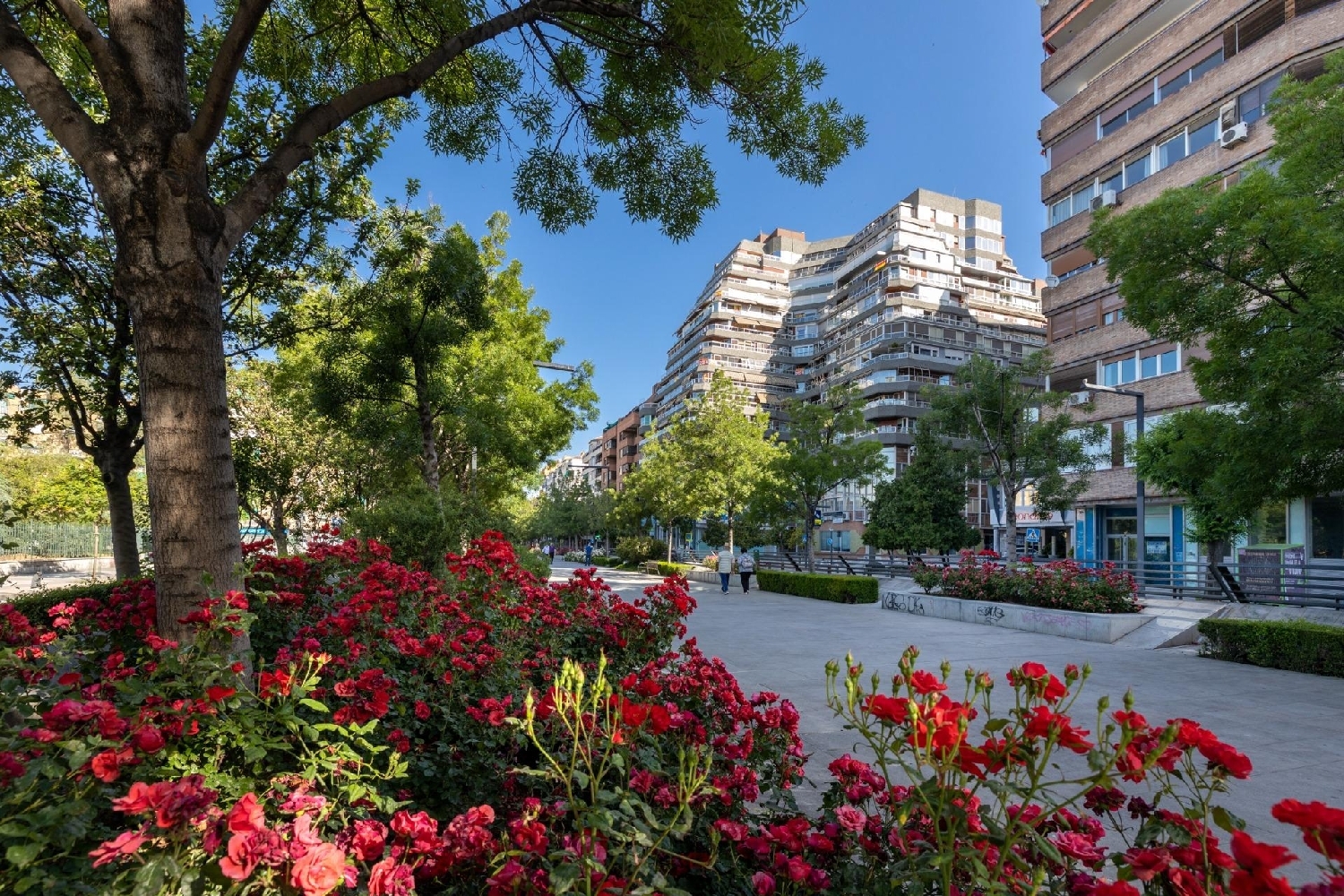  te koop appartement Barrio De Granada Alacantí 2