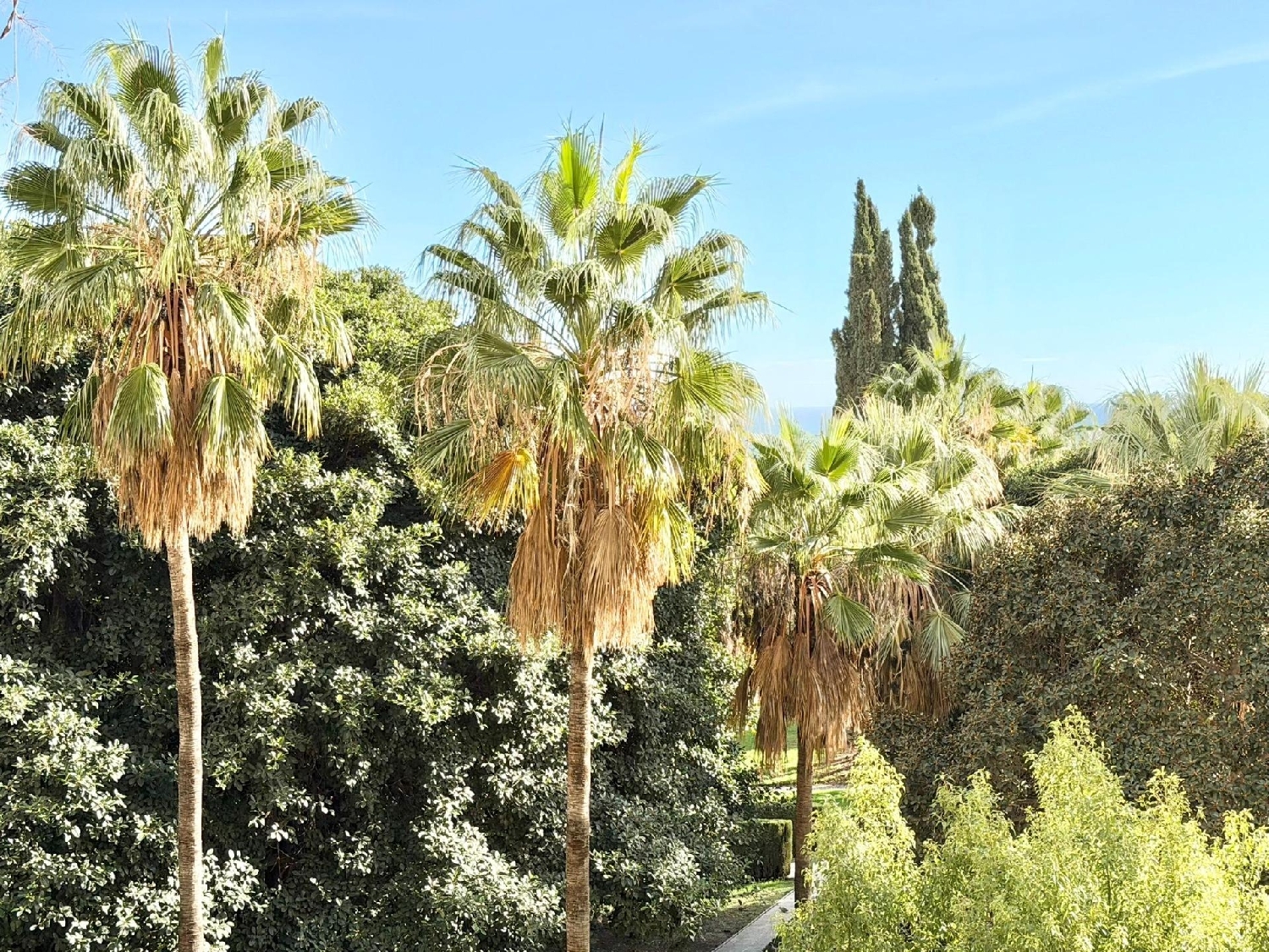  for sale apartment Benalmádena Costa Del Sol Occidental 3