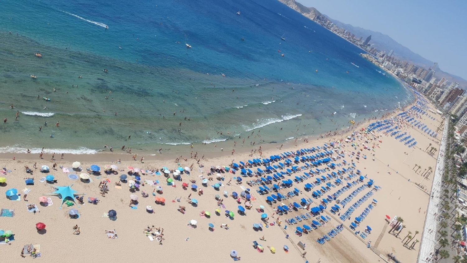  kaufen Wohnung Benidorm (Centro) Marina Baixa 2