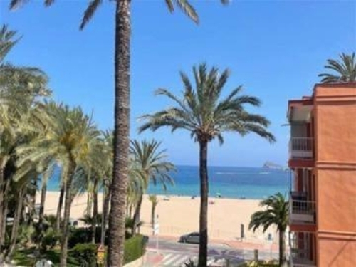 Benidorm (Centro) Marina Baixa appartement foto 6325800