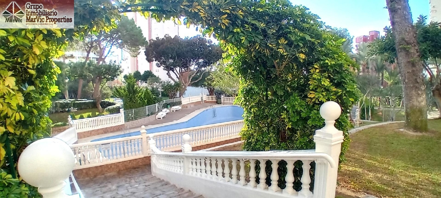  for sale apartment Benidorm (Centro) Marina Baixa 3