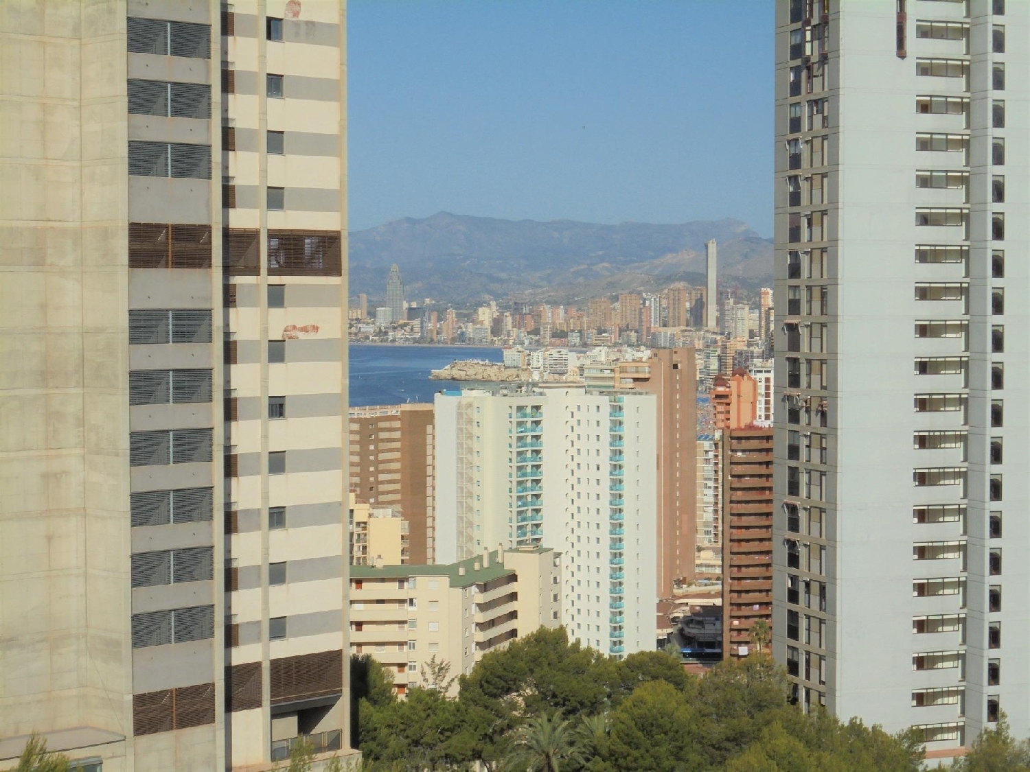  kaufen Wohnung Benidorm (Centro) Marina Baixa 5