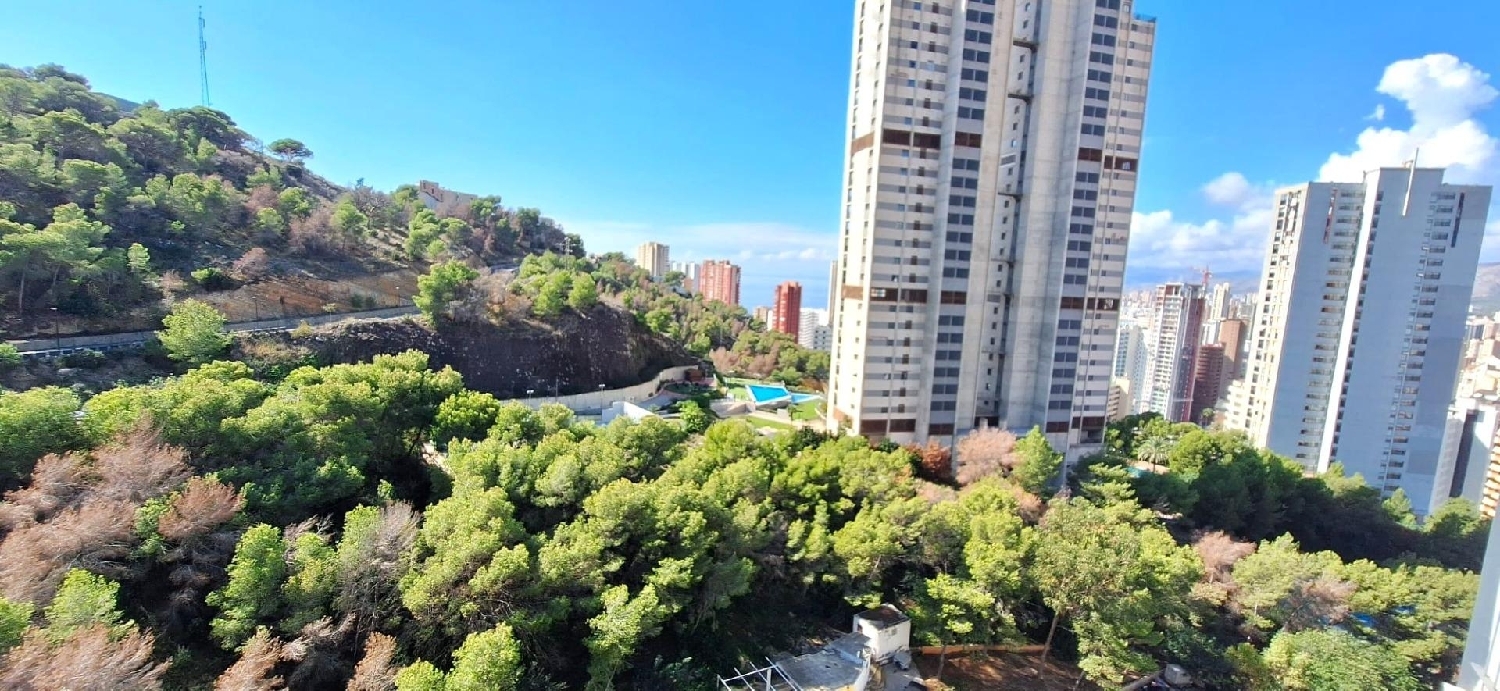  kaufen Wohnung Benidorm (Centro) Marina Baixa 2