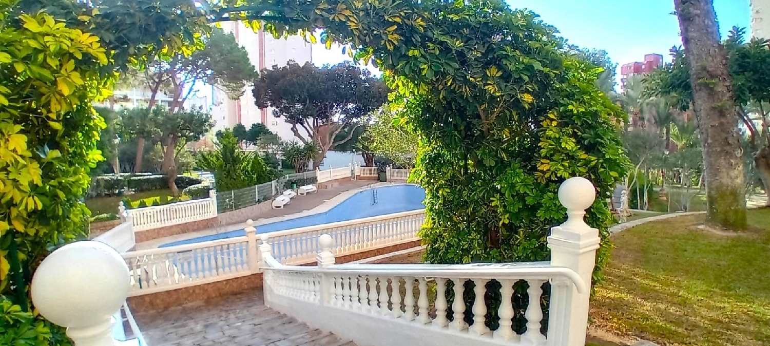  kaufen Wohnung Benidorm (Centro) Marina Baixa 1