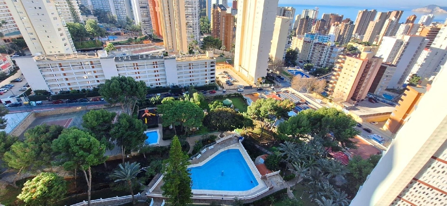  kaufen Wohnung Benidorm (Centro) Marina Baixa 7
