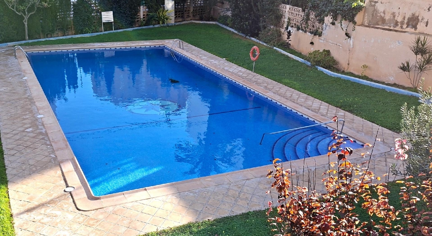  kaufen Wohnung Benidorm (Centro) Marina Baixa 4