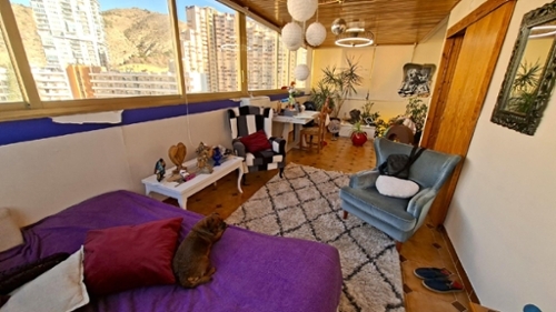 Benidorm (Centro) Marina Baixa Wohnung Bild 6326756