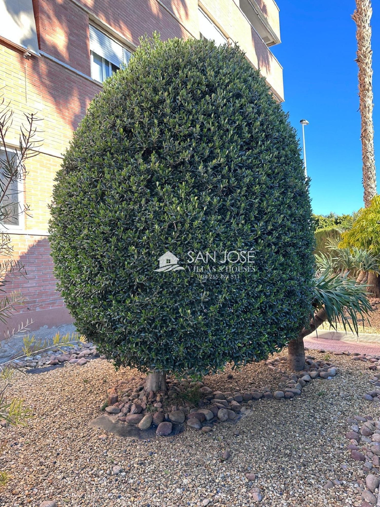  en venta apartamento Cheda Arzúa 8