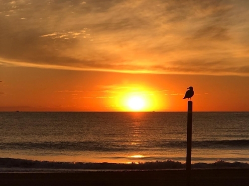 El Campello Alacantí appartement foto 6330465