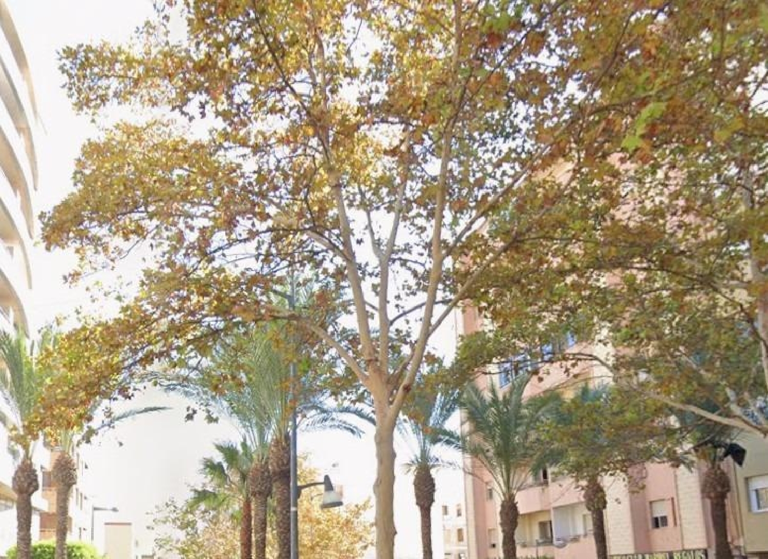  à vendre appartement El Ejido Poniente Almeriense 1