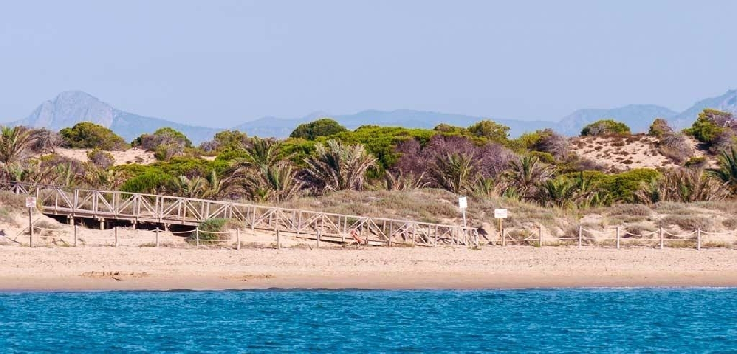  kaufen Wohnung Guardamar Del Segura Baix Segura 16