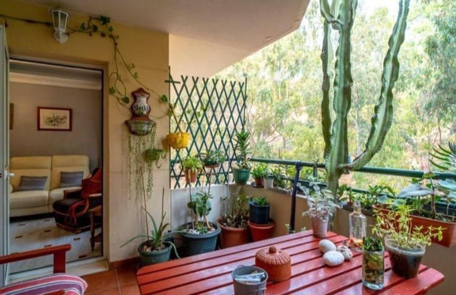  en venta apartamento La Cala Del Moral Axarquía 5