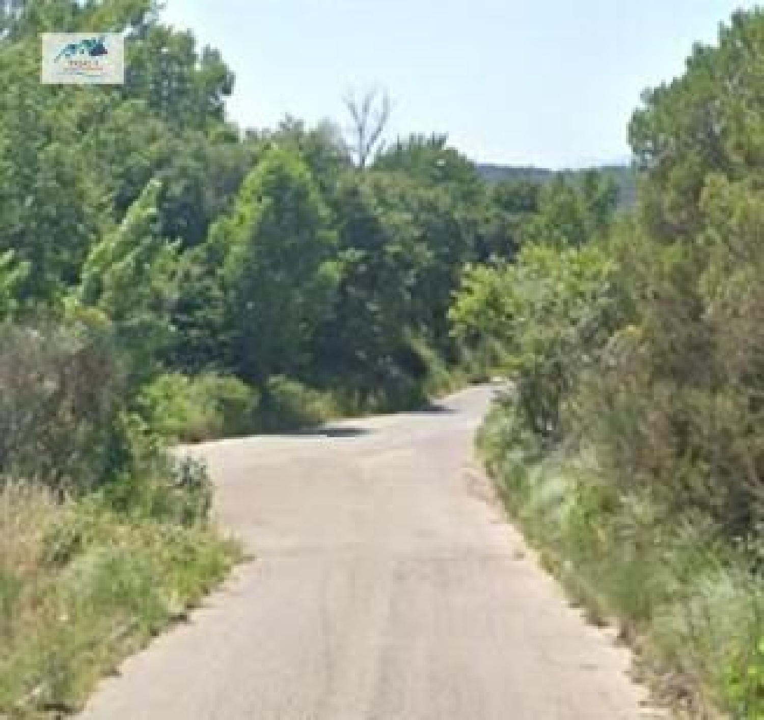 kaufen Wohnung Lloret De Mar Selva 2