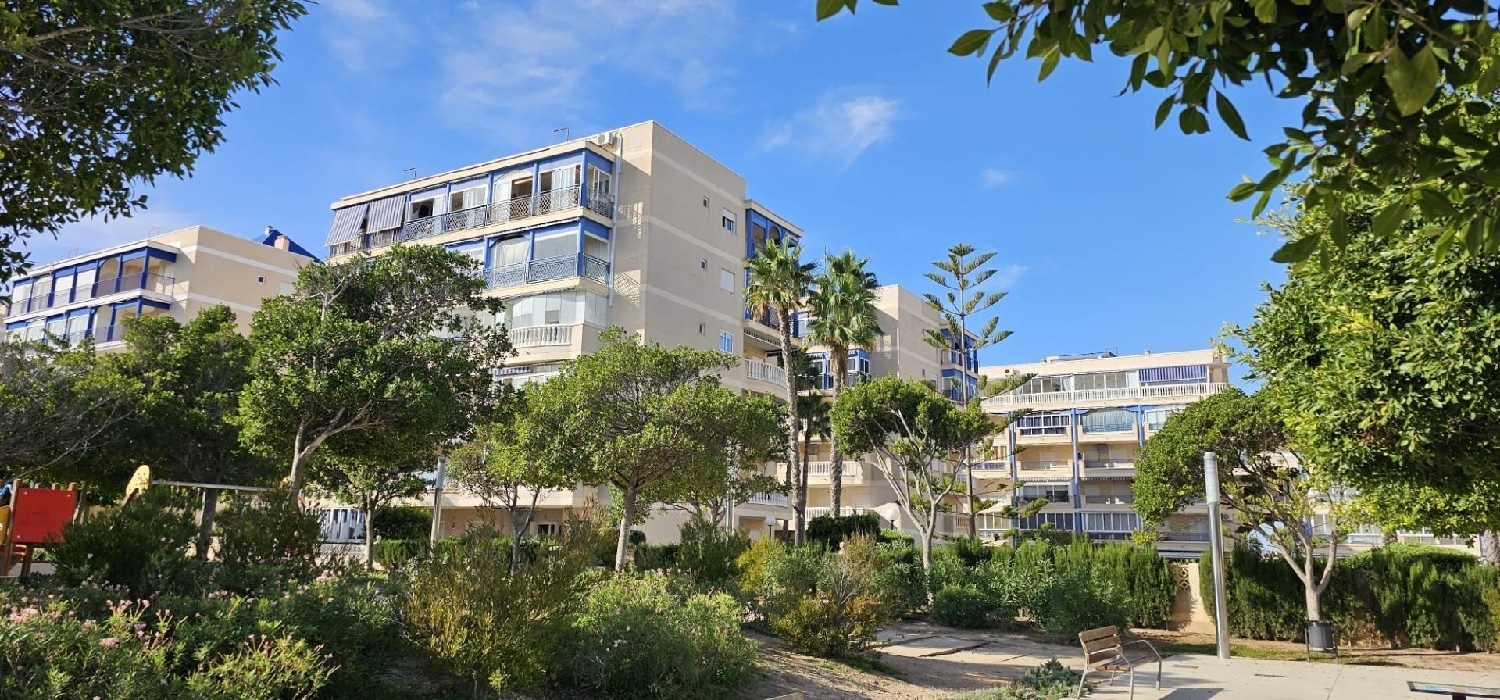 à vendre appartement Los Arenales Del Sol Baix Vinalopó 2