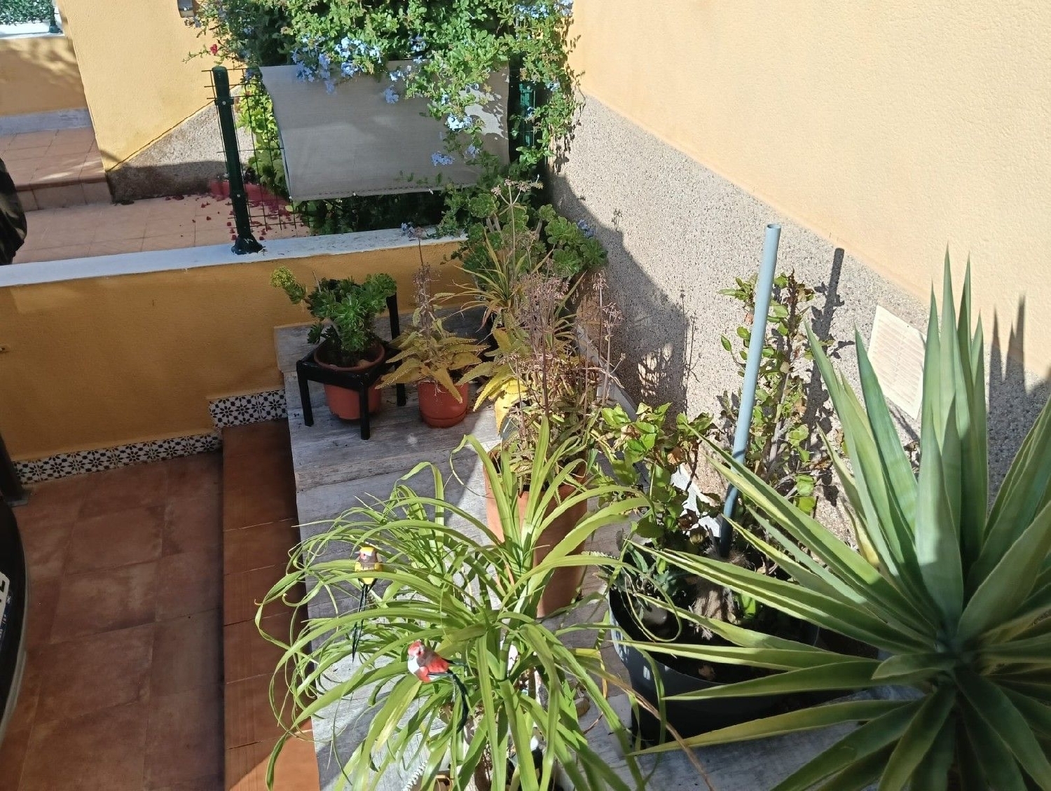  te koop appartement Los Montesinos Baix Segura 5