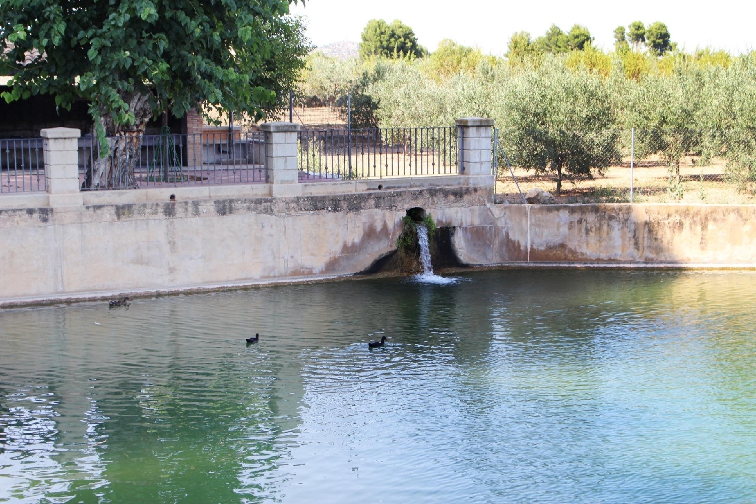  en venta apartamento Macastre Hoya De Buñol 4