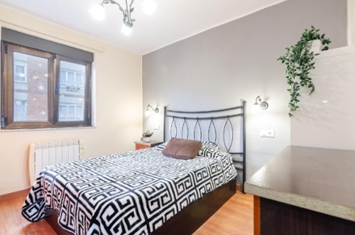 Mieres Caudal apartment foto 6326587