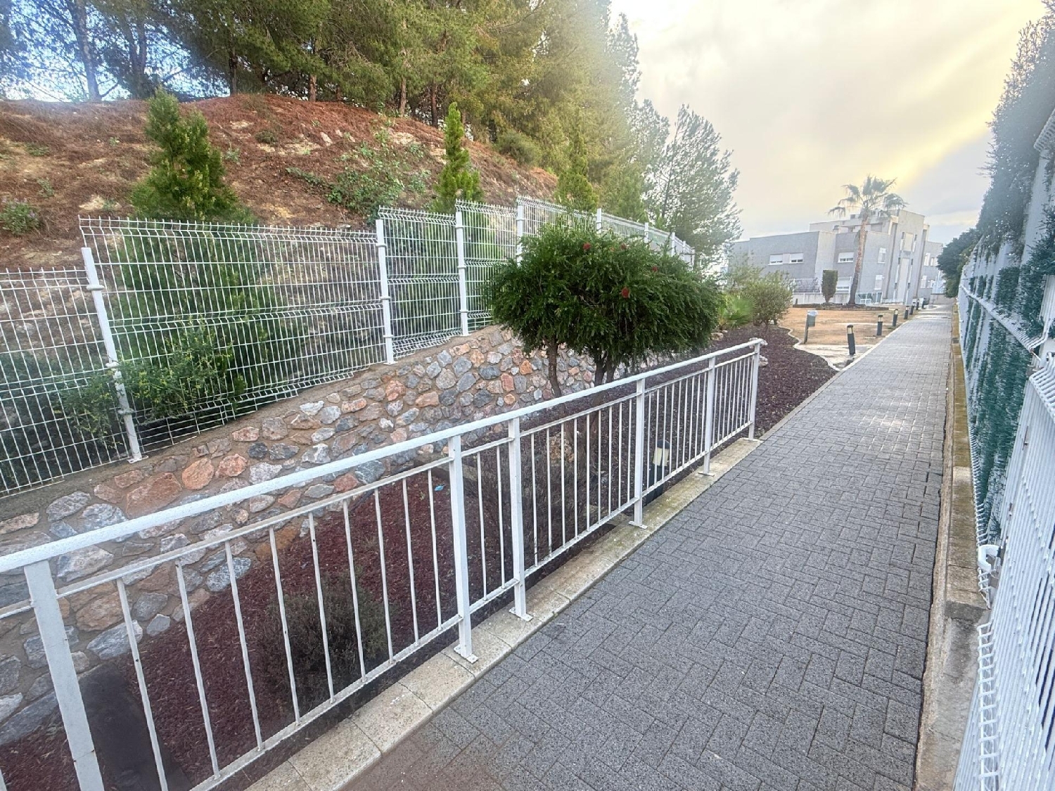  en venta apartamento Molina De Segura Vega Media Del Segura 7