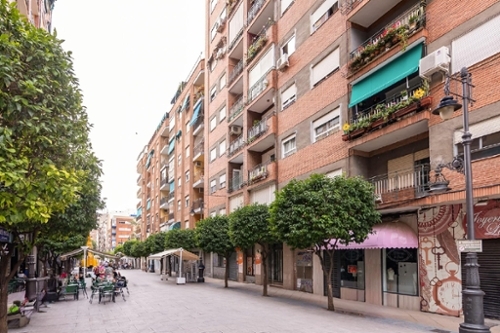 Molina De Segura Vega Media Del Segura lägenhet foto 6330029