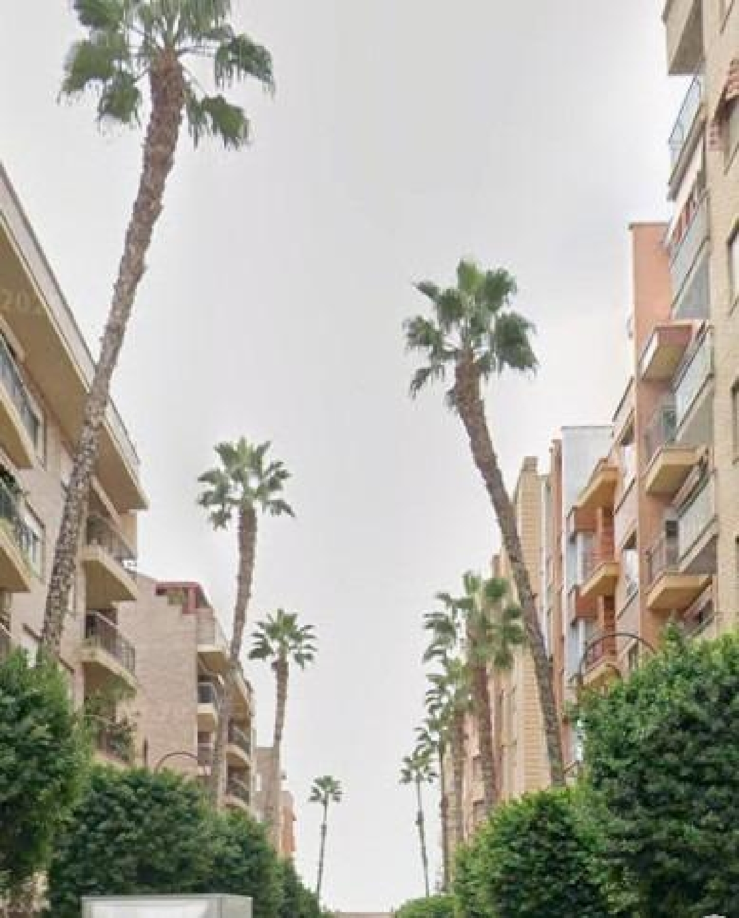  till salu lägenhet Molina De Segura Vega Media Del Segura 1