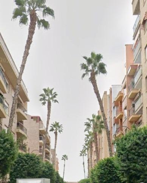 Molina De Segura Vega Media Del Segura lägenhet foto 6342762