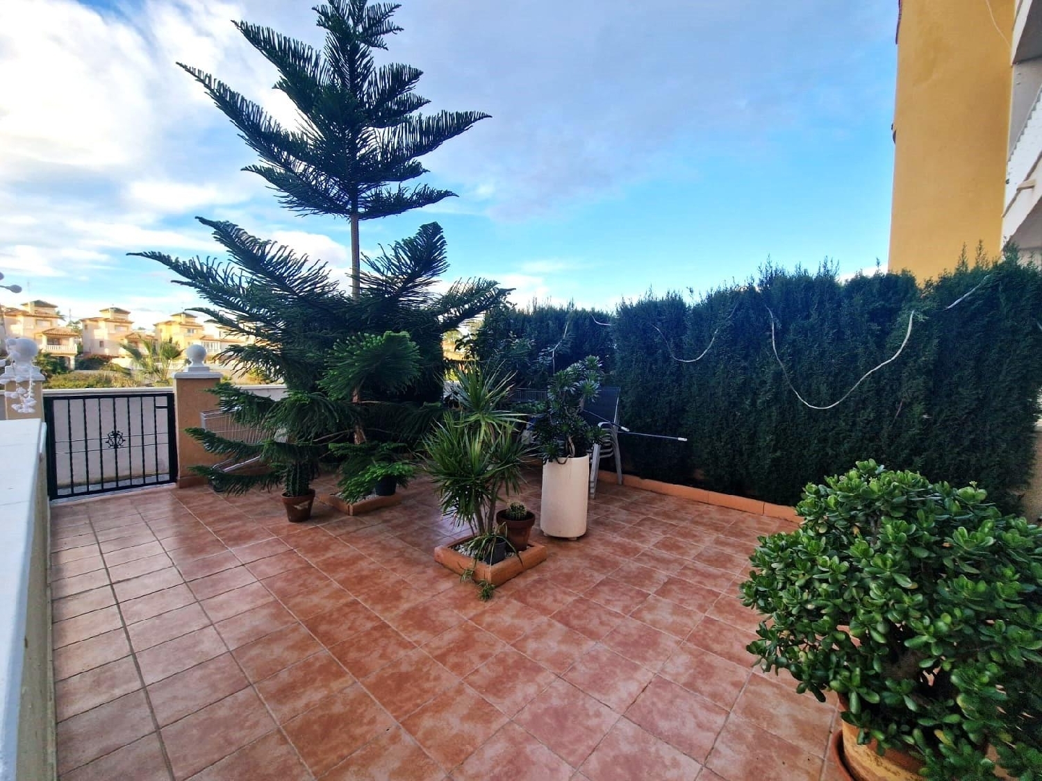  till salu lägenhet Orihuela Costa Baix Segura 1