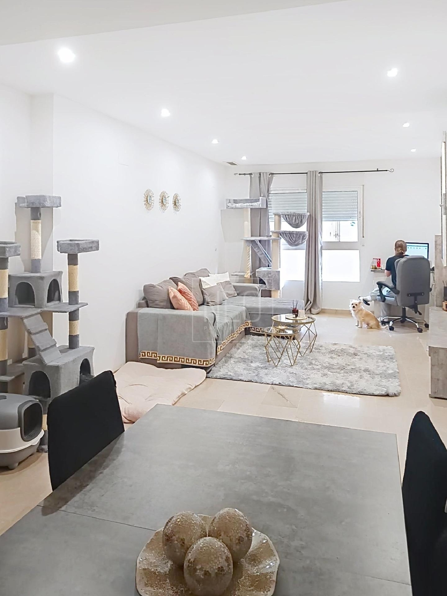 kaufen Wohnung Palma De Gandia Safor 3