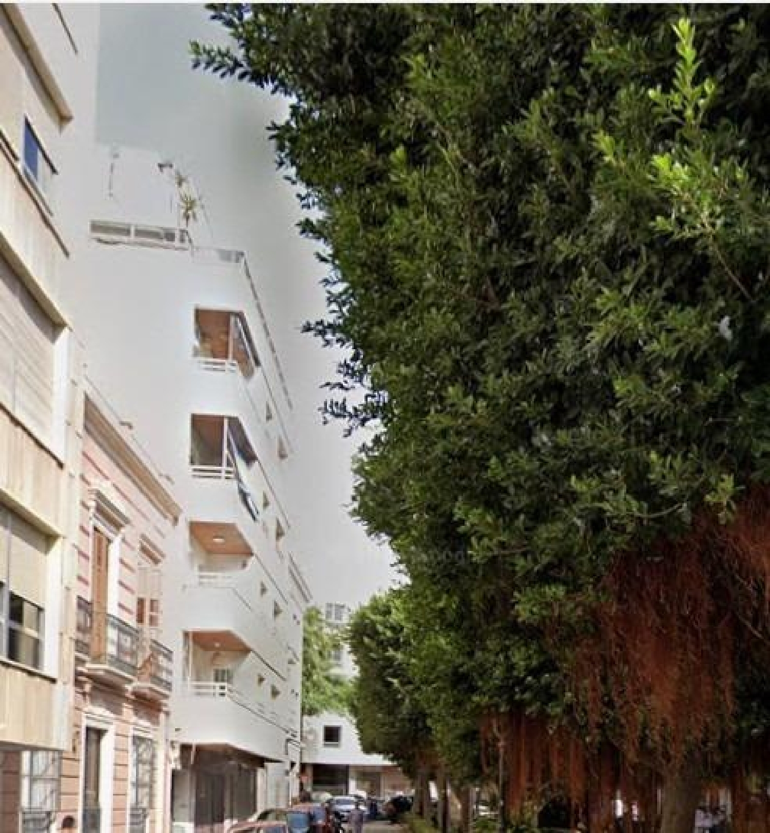  kaufen Wohnung Palmeria Marina Alta 1