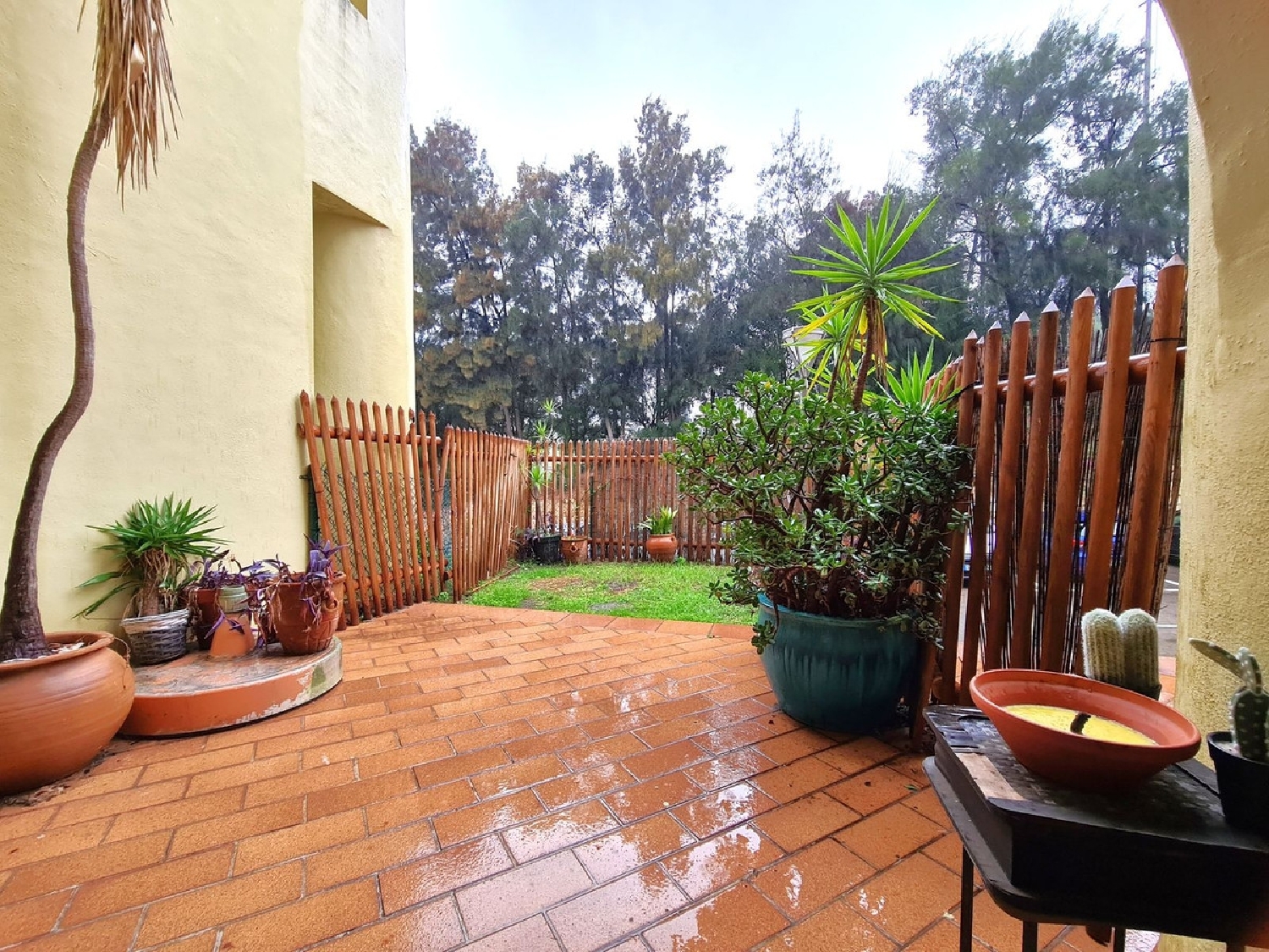 kaufen Wohnung Puerto De Sotogrande Campo De Gibraltar 6