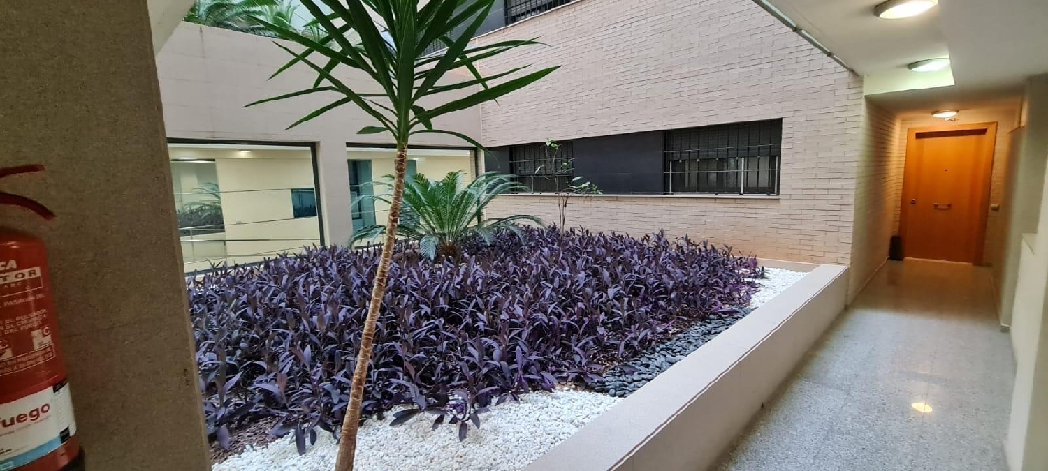  for sale apartment Roquetas De Mar Poniente Almeriense 6