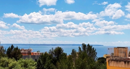 Sant Agustí De Lluçanès Osona appartement foto 6324644