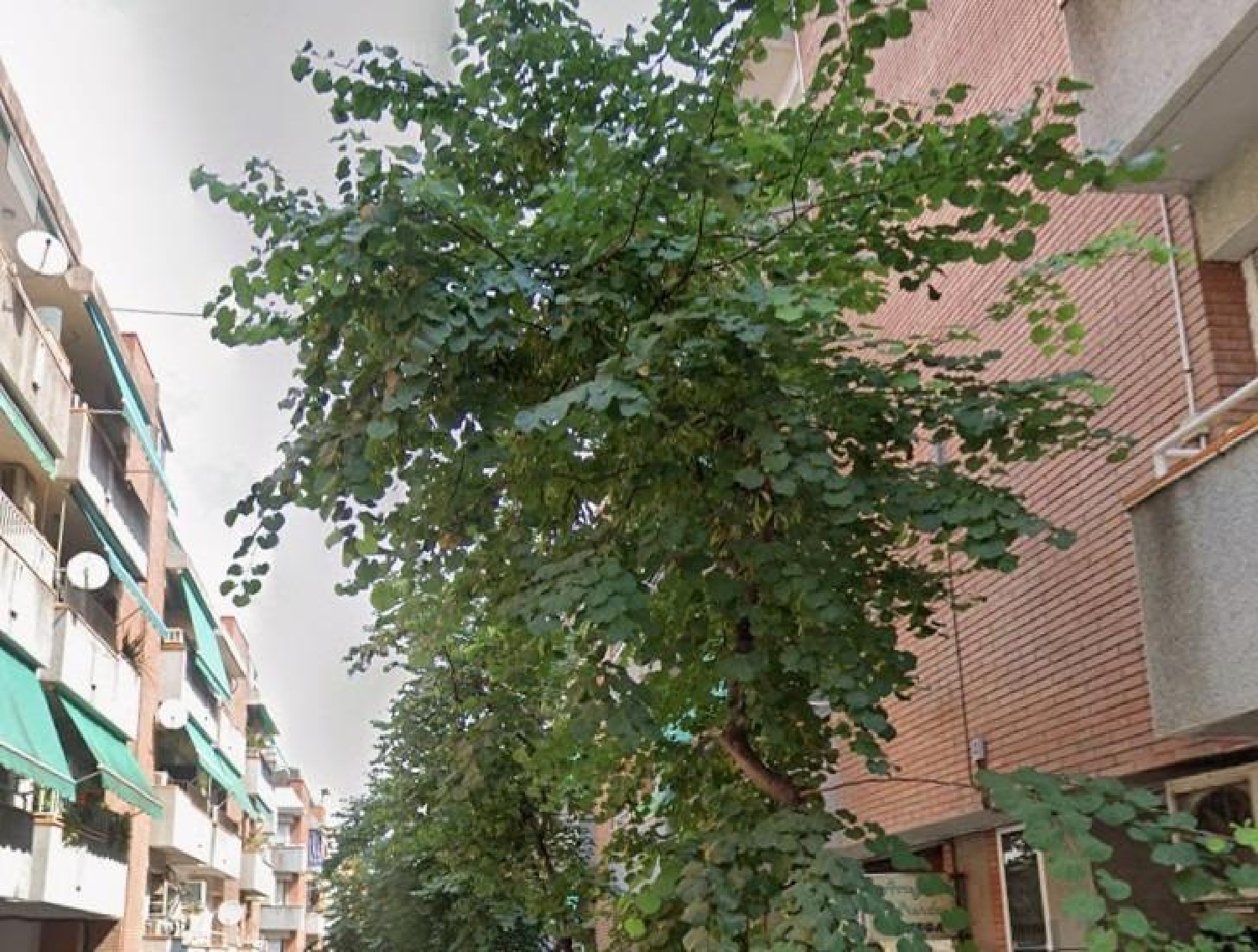  till salu lägenhet Sant Boi De Llobregat Baix Llobregat 1