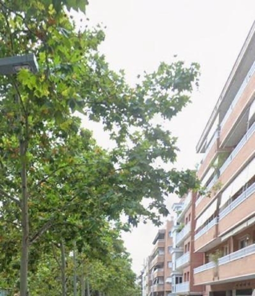 Santa Coloma De Farners Selva lägenhet foto 6342812