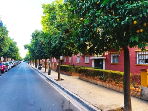 Sevilla La Nueva Sur apartment foto 6337488