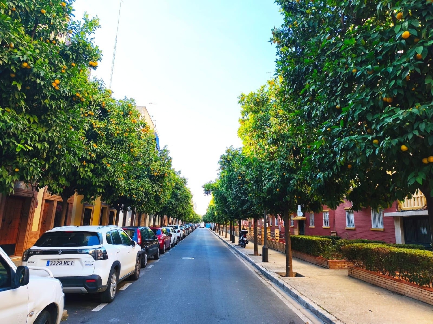  for sale apartment Sevilla La Nueva Sur 3