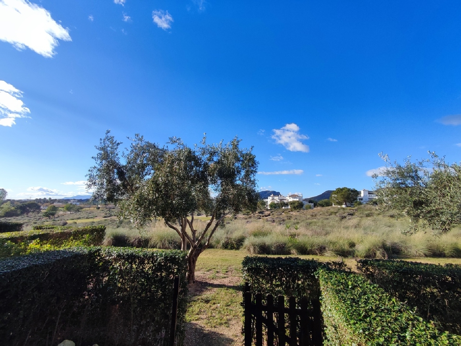  te koop appartement Sucina Huerta De Murcia 6